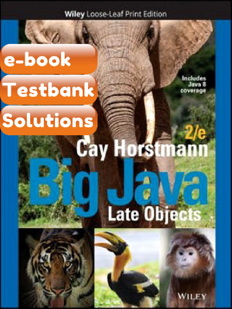 Ebook & Testbank Big Java Late Objects 2nd Edition Cay S Horstmann ...
