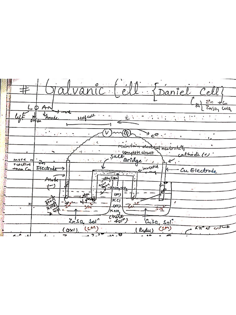 Cell Diagrams in One PDF | PDF