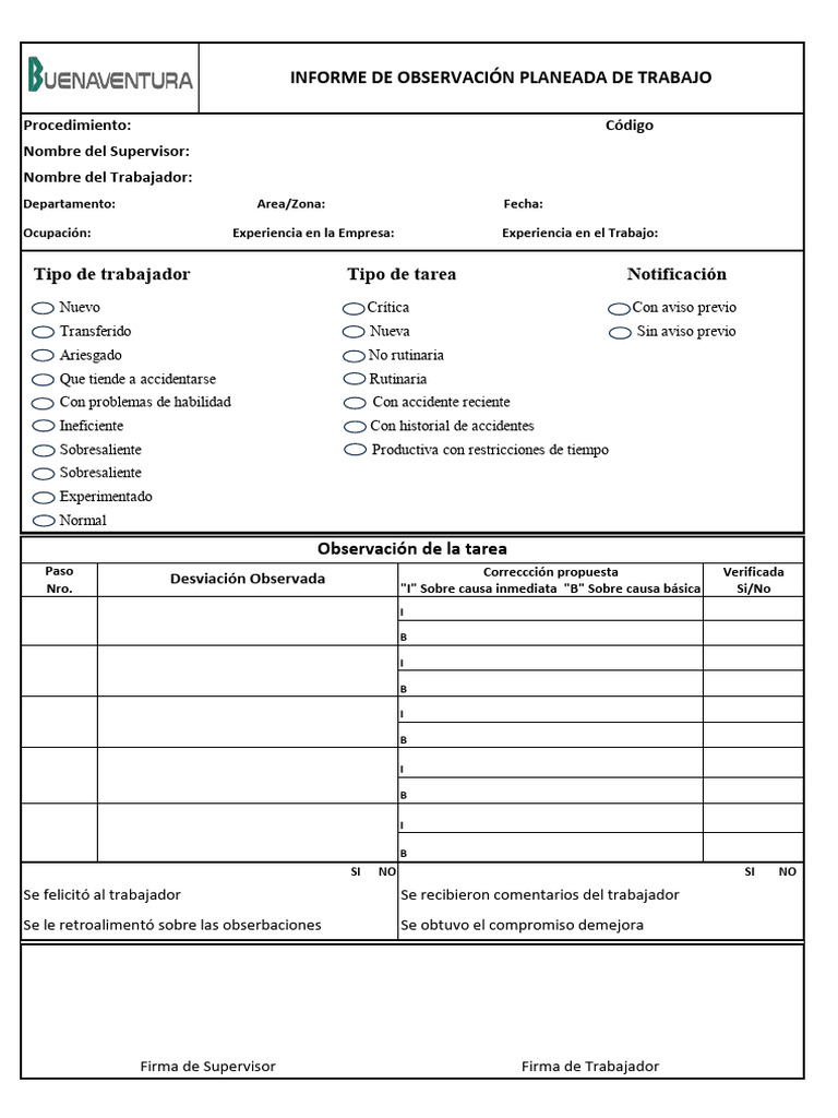 Formato OPT | PDF