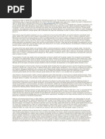 sexism argumentative essay