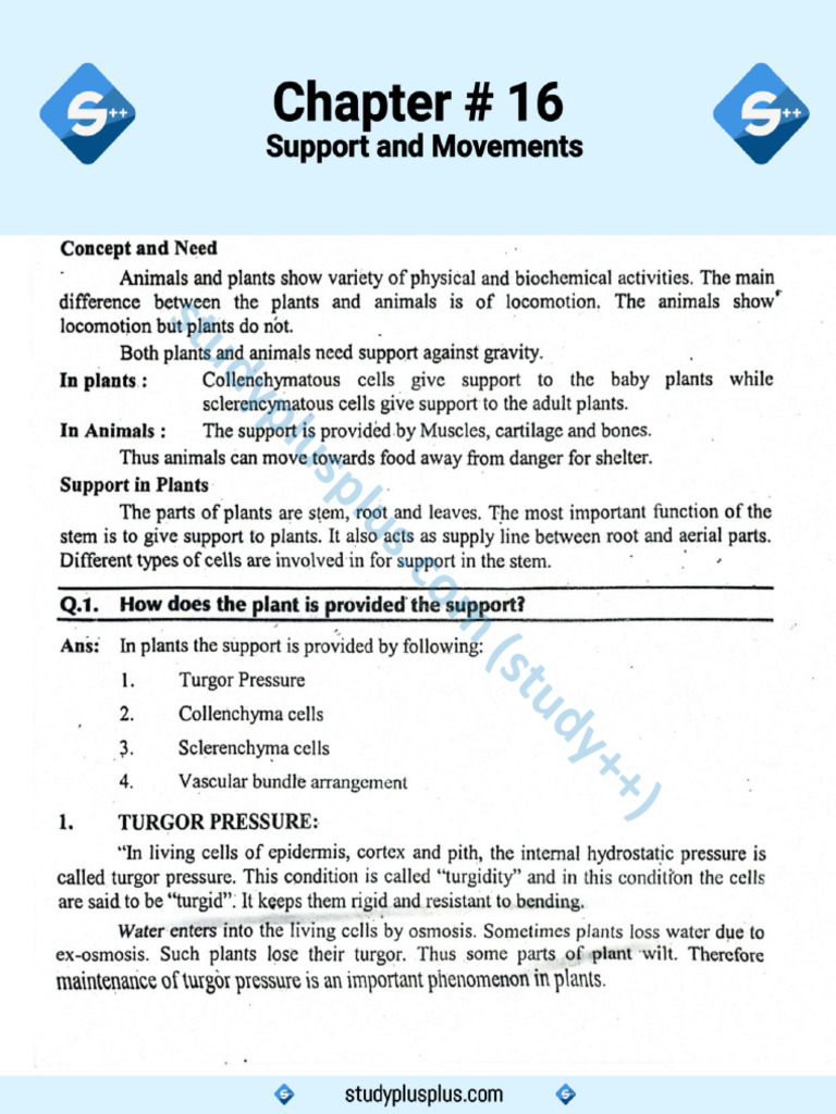 p12 Biology 16 | PDF