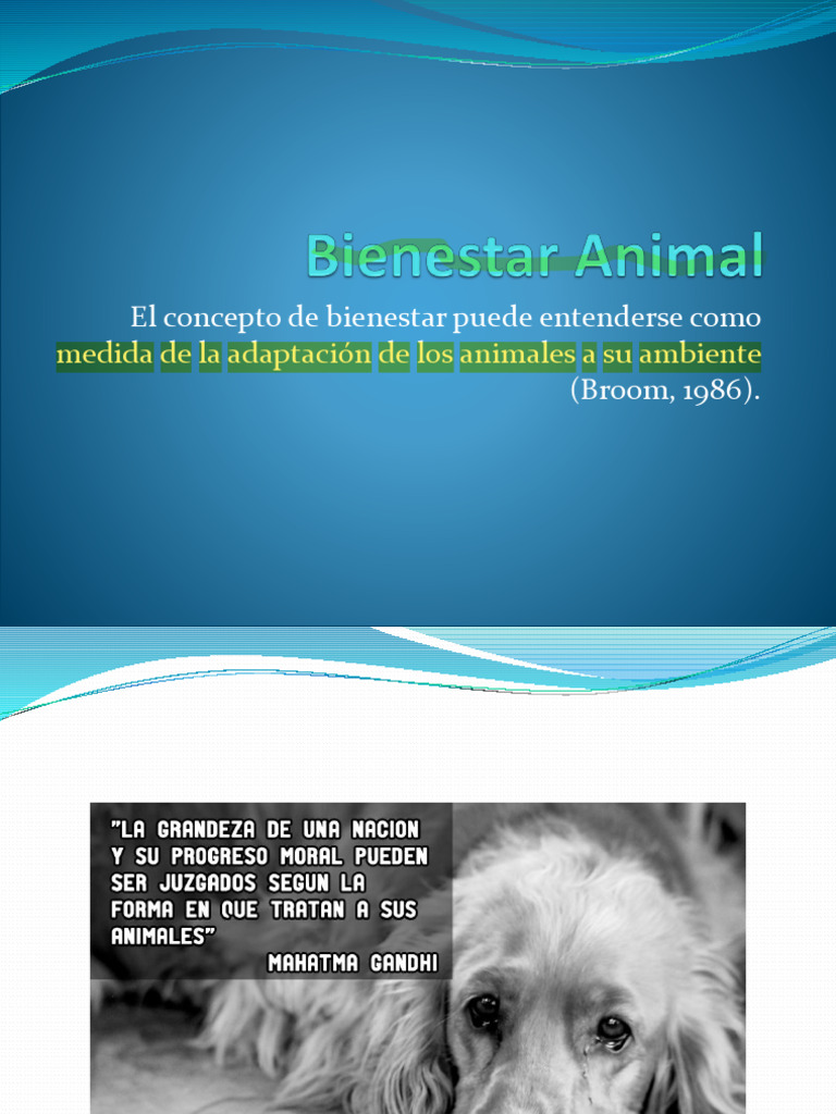 Bienestar Animal 2022 | PDF | Las emociones | Bienestar de los animales