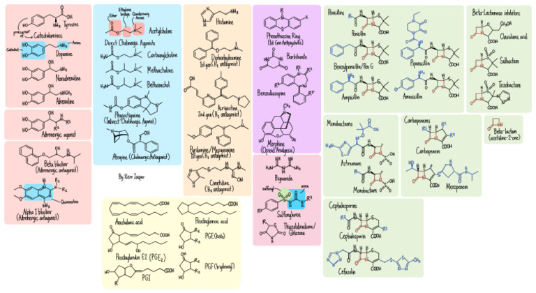 Drug Structures | PDF