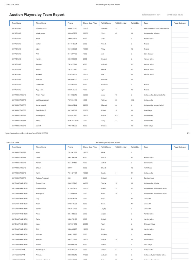 Auction Players by Team Report | PDF