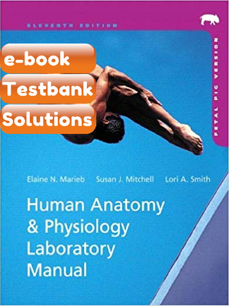 eBook & Testbank Human Anatomy and Physiology Laboratory Manual Fetal