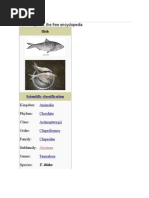 Shark Kanji 01 Pdf Trees Nature
