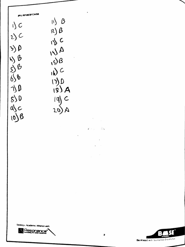 Chem Wb8 Amines | PDF