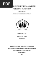 Download Laporan Anfistum Kurva Sigmoid by Irwin Septian SN99806239 doc pdf