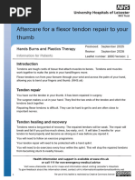 Splint Wear and Care Instructions | PDF