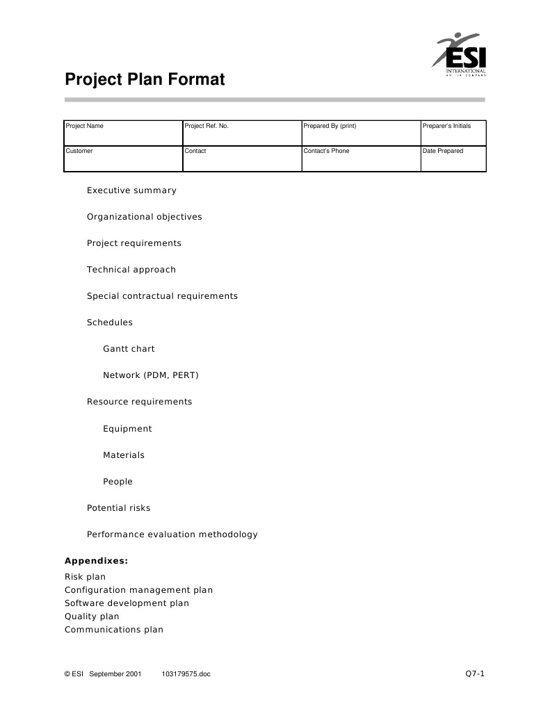 Project Plan Format | PDF