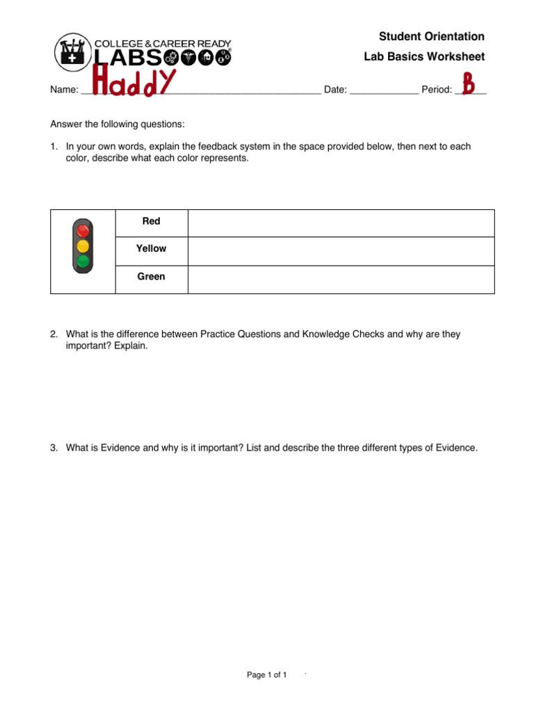 Lab Basics Worksheet | PDF