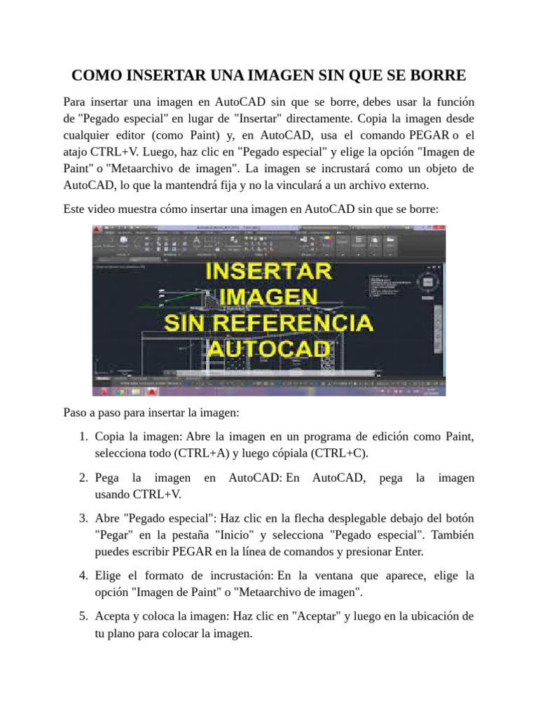 Como Insertar Una Imagen Sin Que Se Borre | PDF | Cad automático | Software