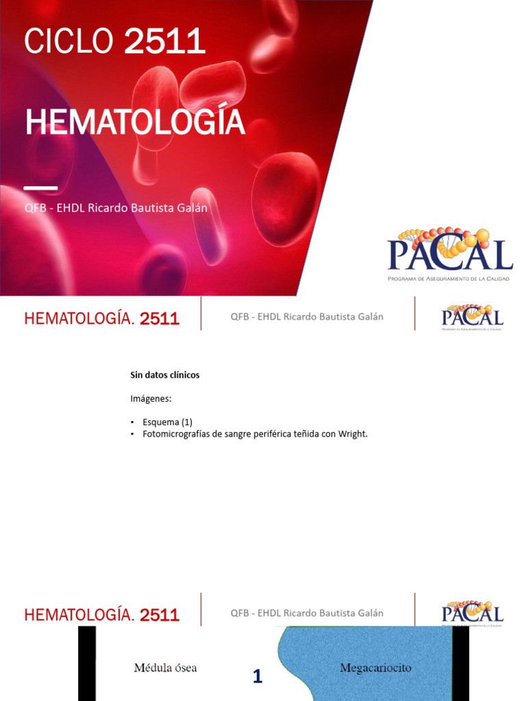 Caso Hema 2511 | PDF