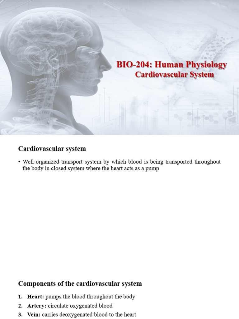Cardiovascular System | PDF