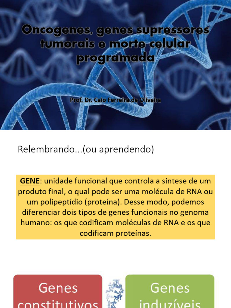 Oncogenes, Genes Supressores Tumorais e Morte Celular | PDF | Oncogene ...