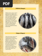 Local Fish Names in Tagalog | PDF | Recreational Fishing | Fish