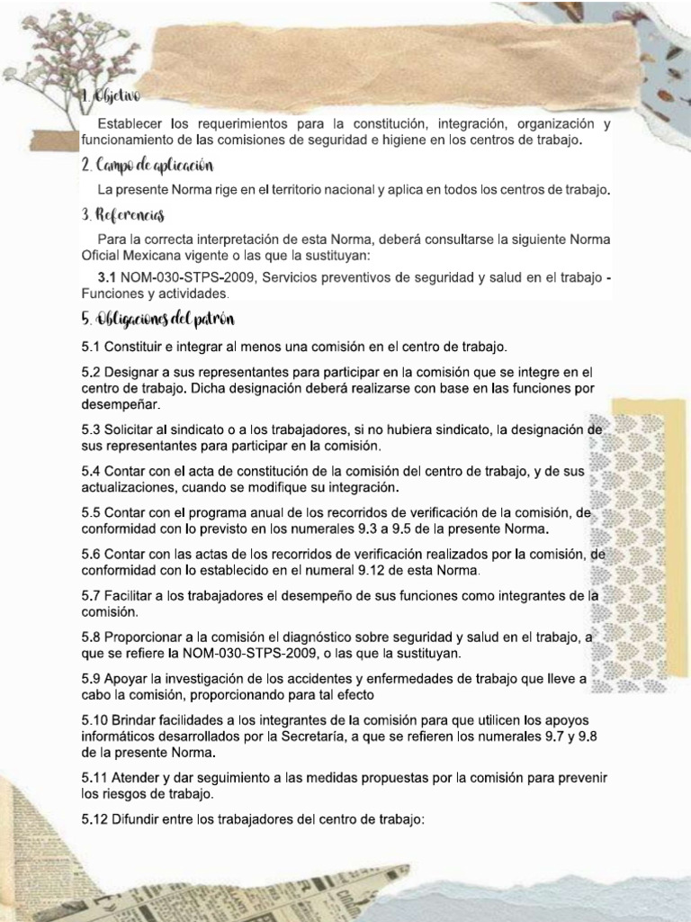 Nom 019 STPS 2011 | PDF