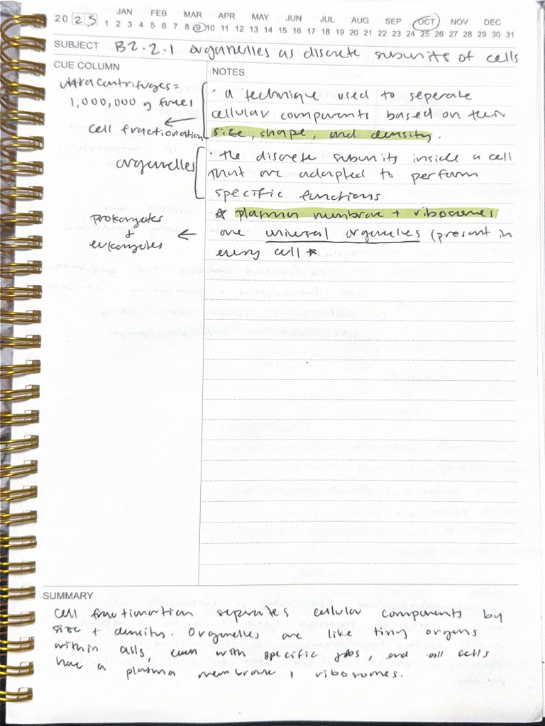 Cornell Notes 3 | PDF
