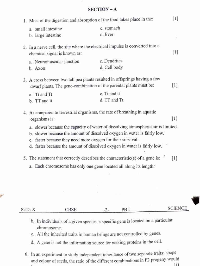 Science Sample Paper-3 | PDF