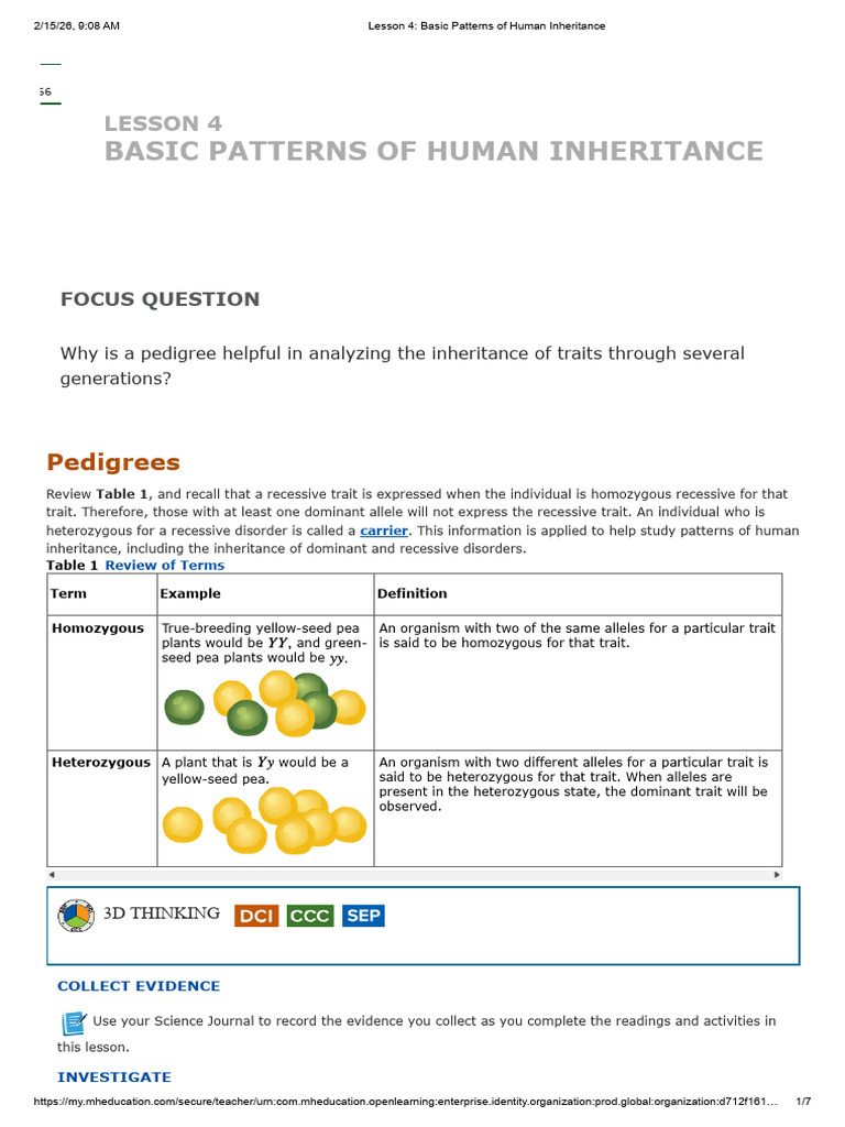 Lesson 4 - Basic Patterns of Human Inheritance | PDF | Genotype ...