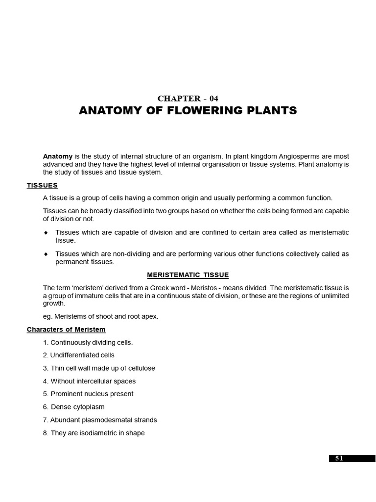 Anatomy of Flowering Plants (Lecture Note) | PDF | Plant Stem | Leaf