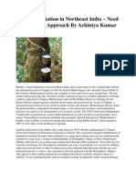 Northeast India's Rubber Plantations: Need for a Holistic Approach