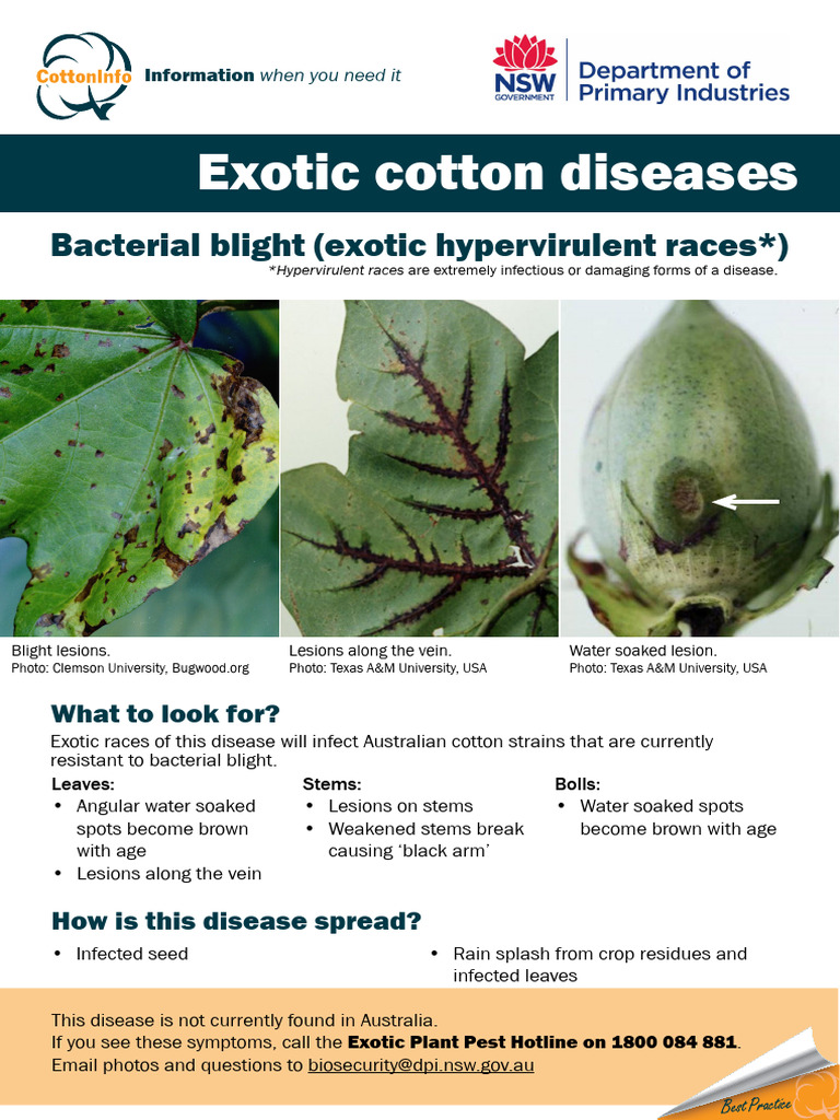 Disease Posters Compilation FINAL | PDF