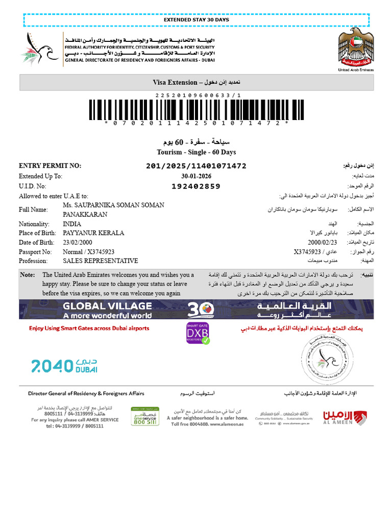 E Visa | PDF