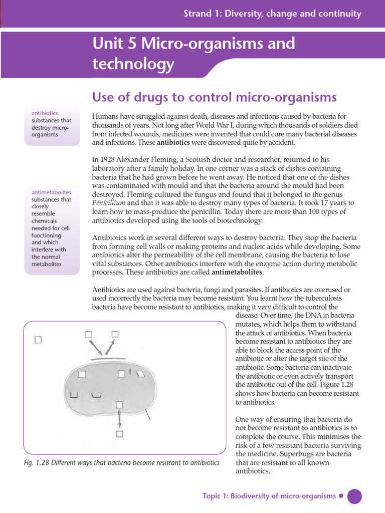 Unit 5 Micro-Organisms and Technology | PDF | Bacteria | Plasmid