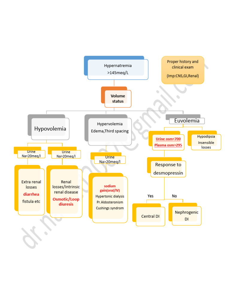 Hypernatremia Algorithm | PDF | Kidney | Human Diseases And Disorders