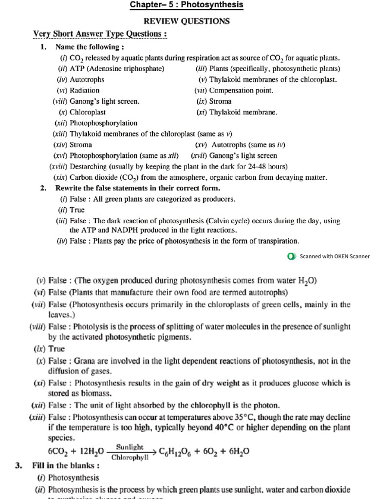 10 Bio Chapter 5 Photosynthesis | PDF