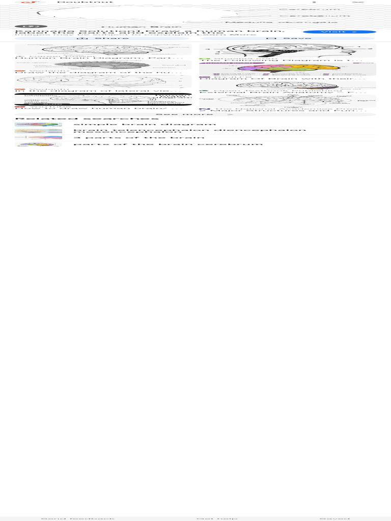 Brain Parts Not Labeled With Three Parts - Google | PDF