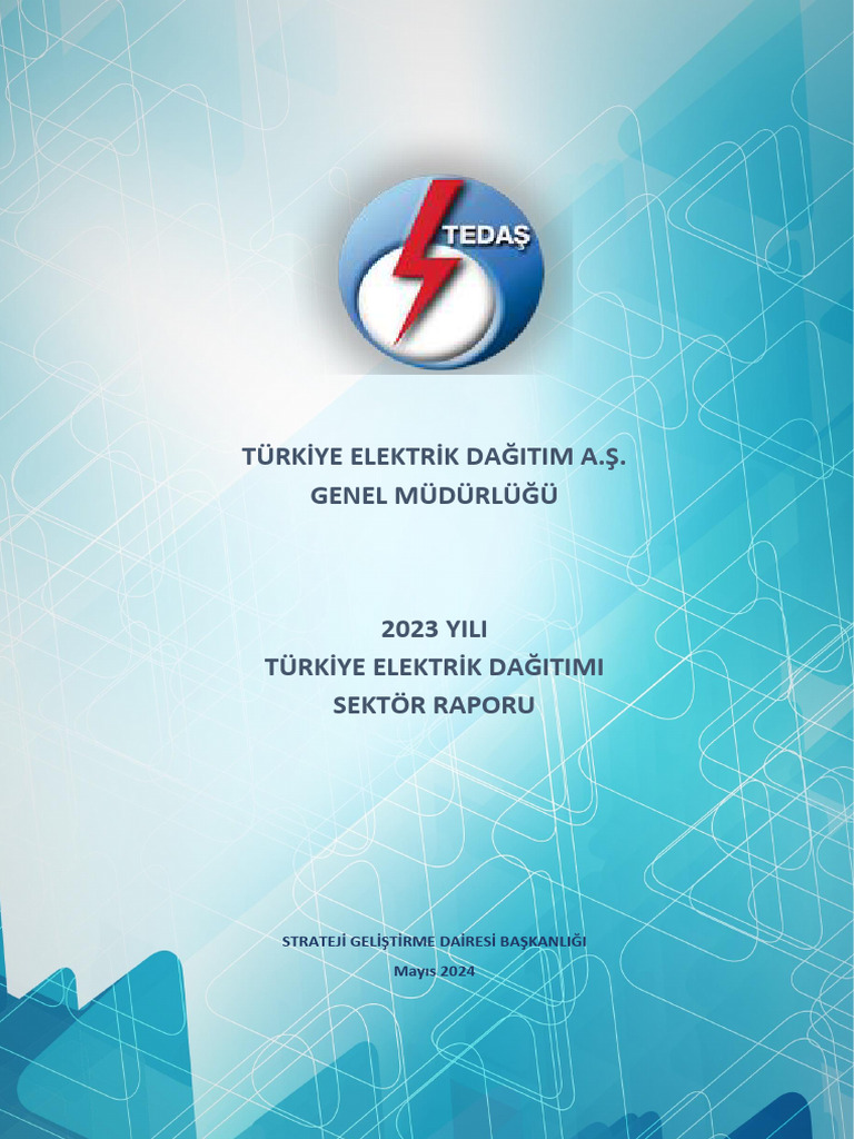 2023 Yılı Türkiye Elektrik Dağıtımı Sektör Raporu | PDF