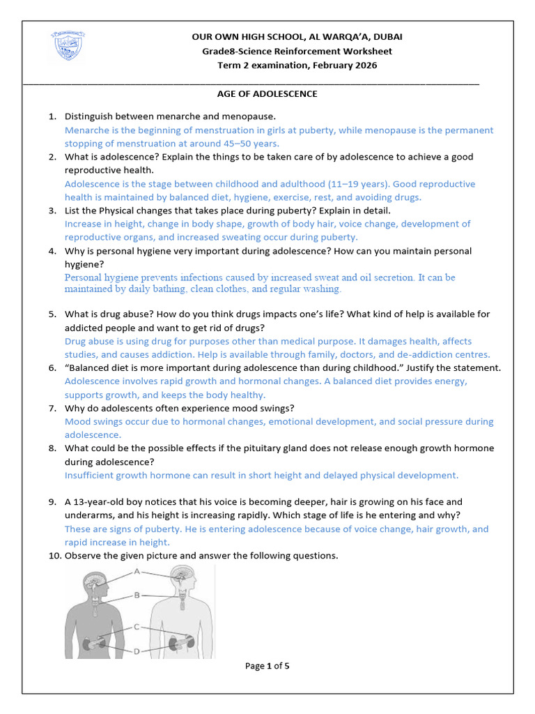 Term 2 Science Reinforcement Worksheet-2 - Answer Key | PDF | Friction ...