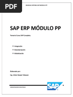 Manual SAP PP: Guía de Usuario | PDF