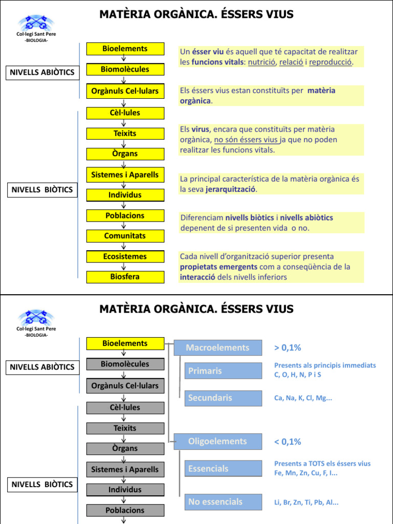 Bioelements I Biomolècules | PDF