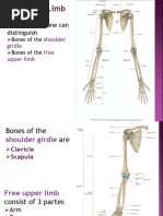 Labeled Humerus Anatomy Diagram | PDF | Limbs (Anatomy ...