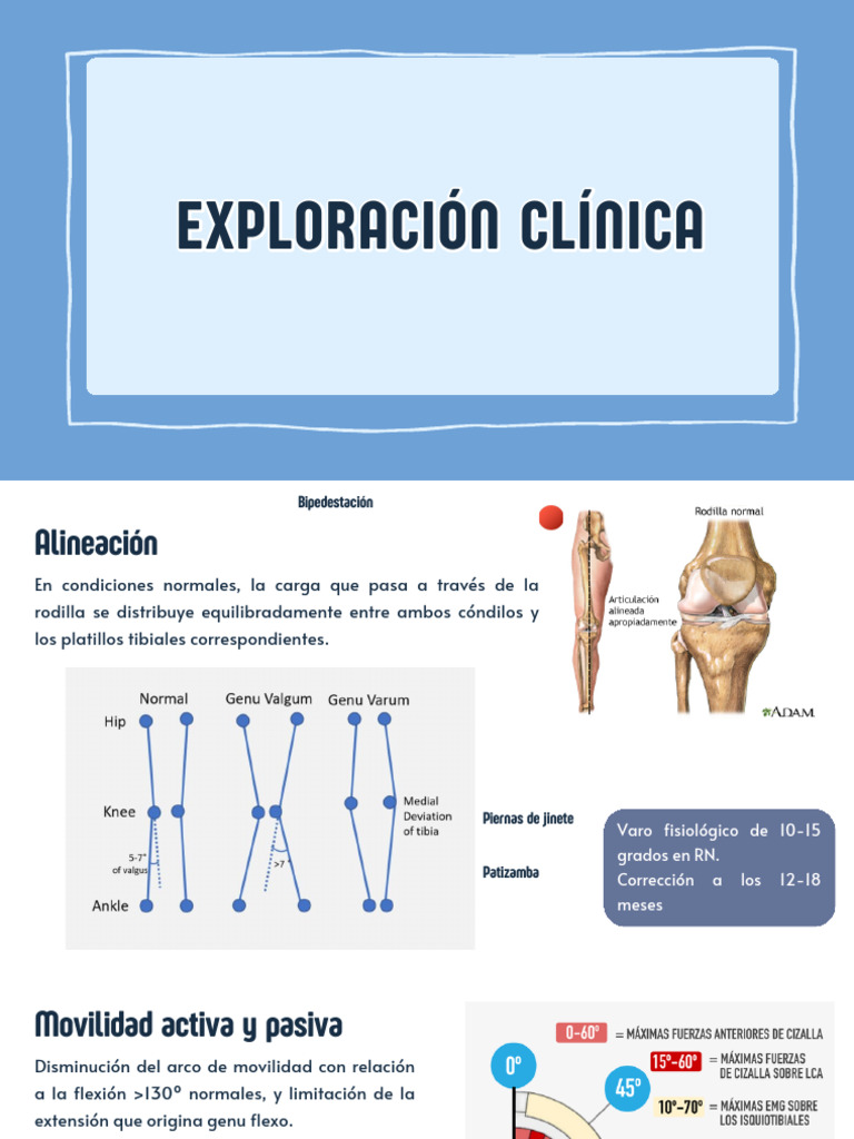 Gonartrosis | PDF | Rodilla | Medicina CLINICA