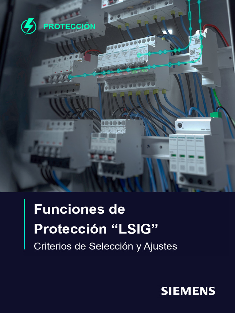 Protecciones LSIG - Criterios de Selección y Ajustes | PDF ...