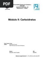 Relatório 4 Bioquímica II