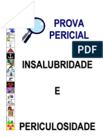 52516948 Manual Sobre Pericia Em SST