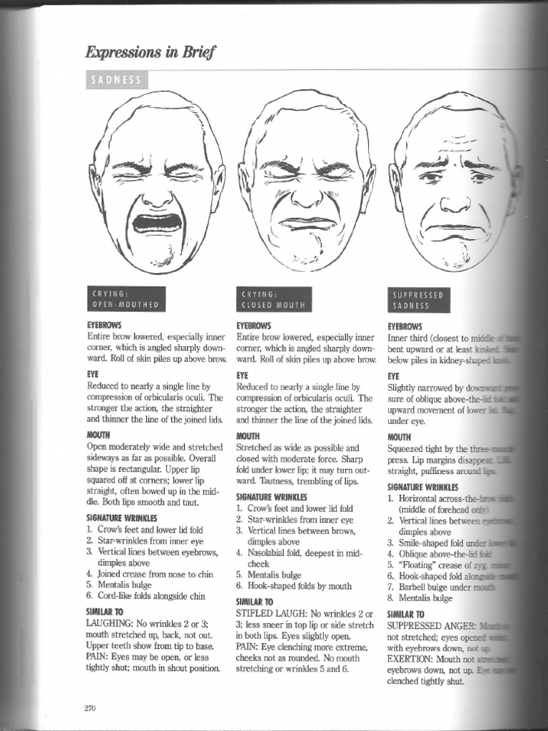 Faces QuickRef | PDF