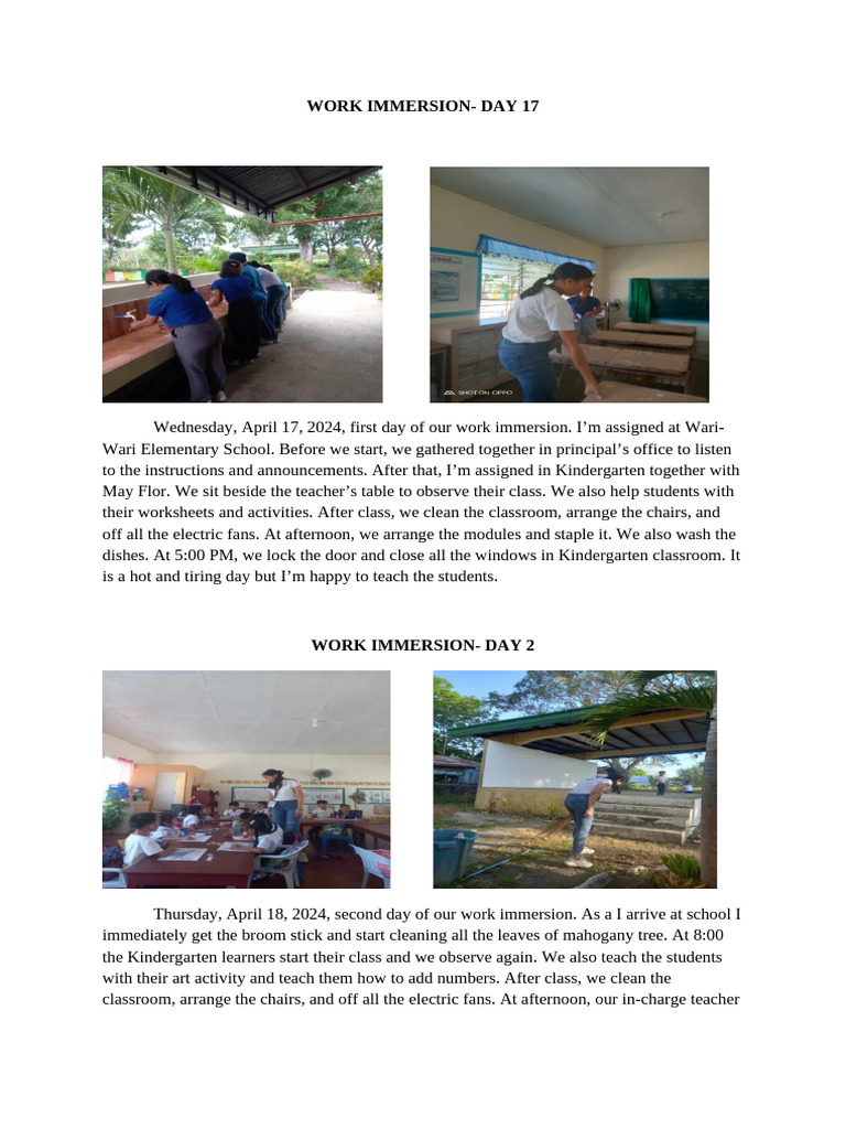 Work Immersion - Allyn | PDF