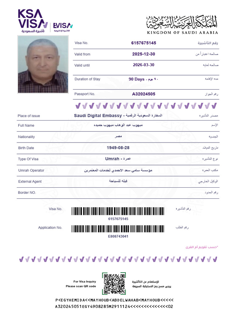 SAFA Report | PDF