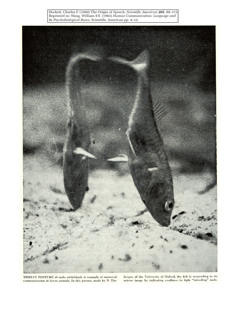 Hockett | PDF