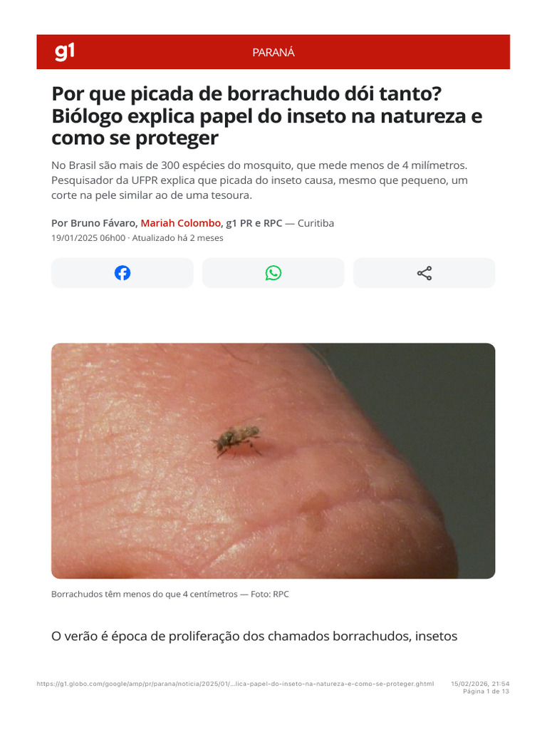 Por Que Picada de Borrachudo Dói Tanto? Biólogo Explica Papel Do Inseto ...