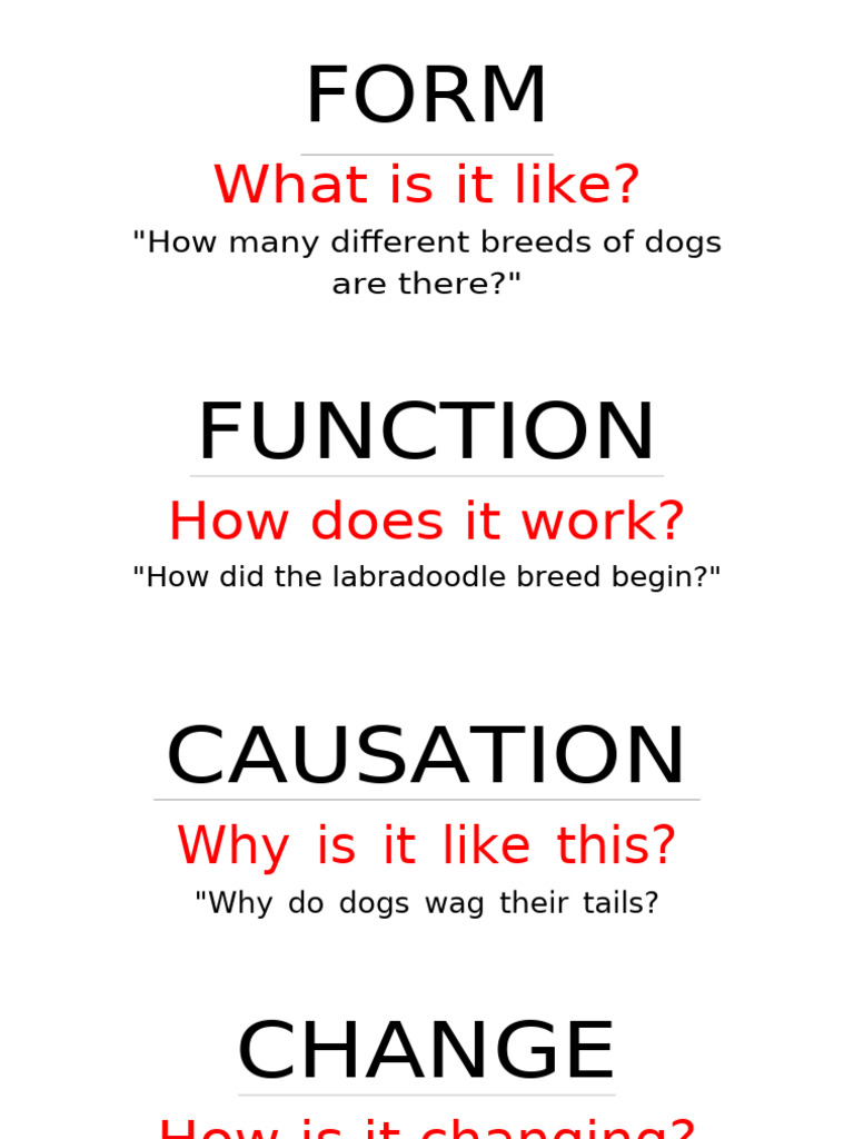Key Concepts With Model Questions | PDF