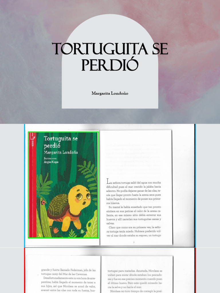 800397060 Tortuguita Se Perdio PDF | PDF