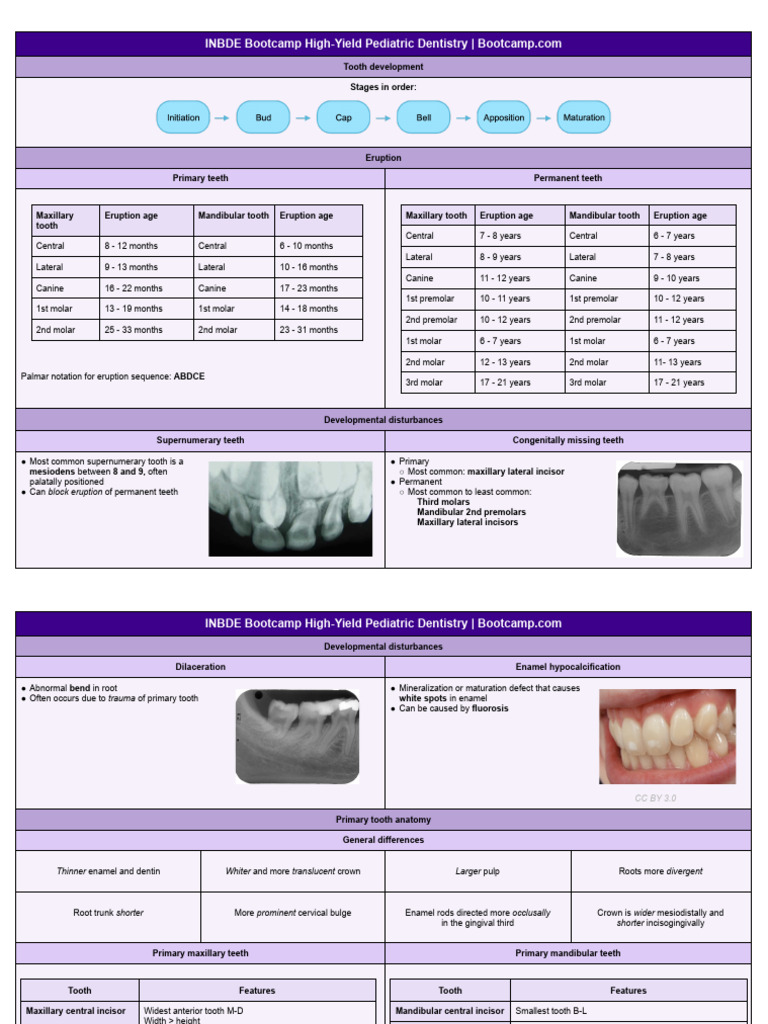 INBDE High-Yield Pediatric Dentistry | PDF | Dental Anatomy | Human Tooth