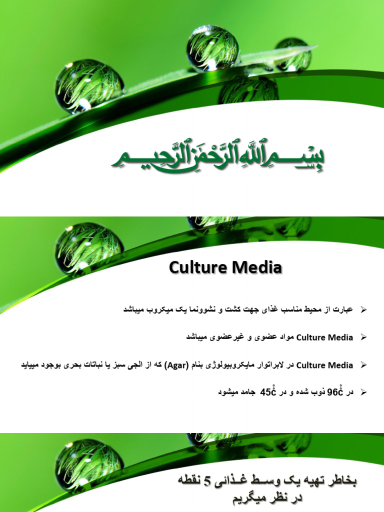 Wa0004 | PDF